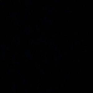 Meet your Posher, Mercy